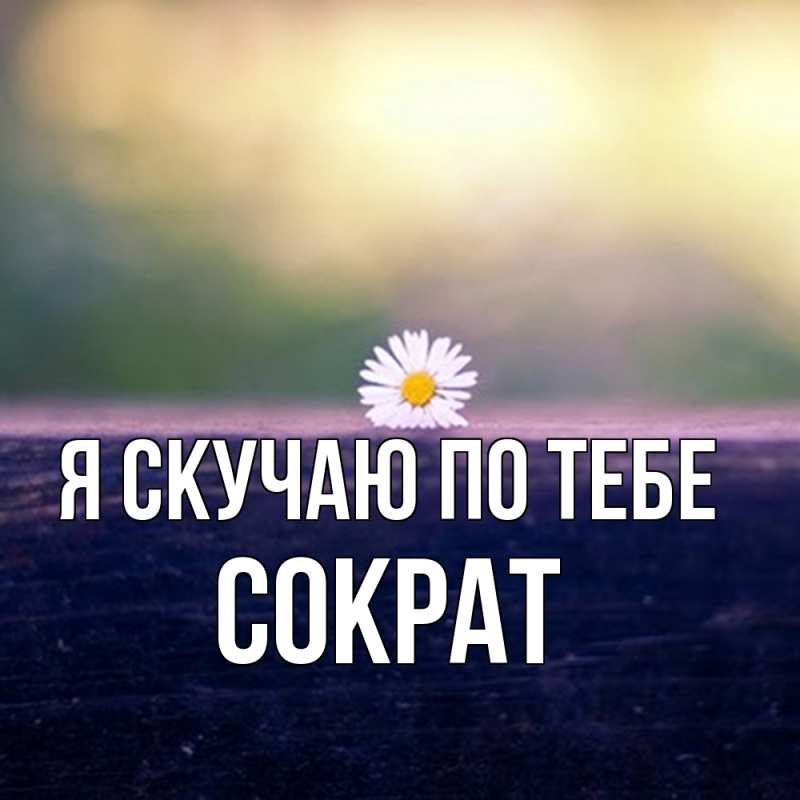 Картинка Я скучаю по тебе, Сократ
