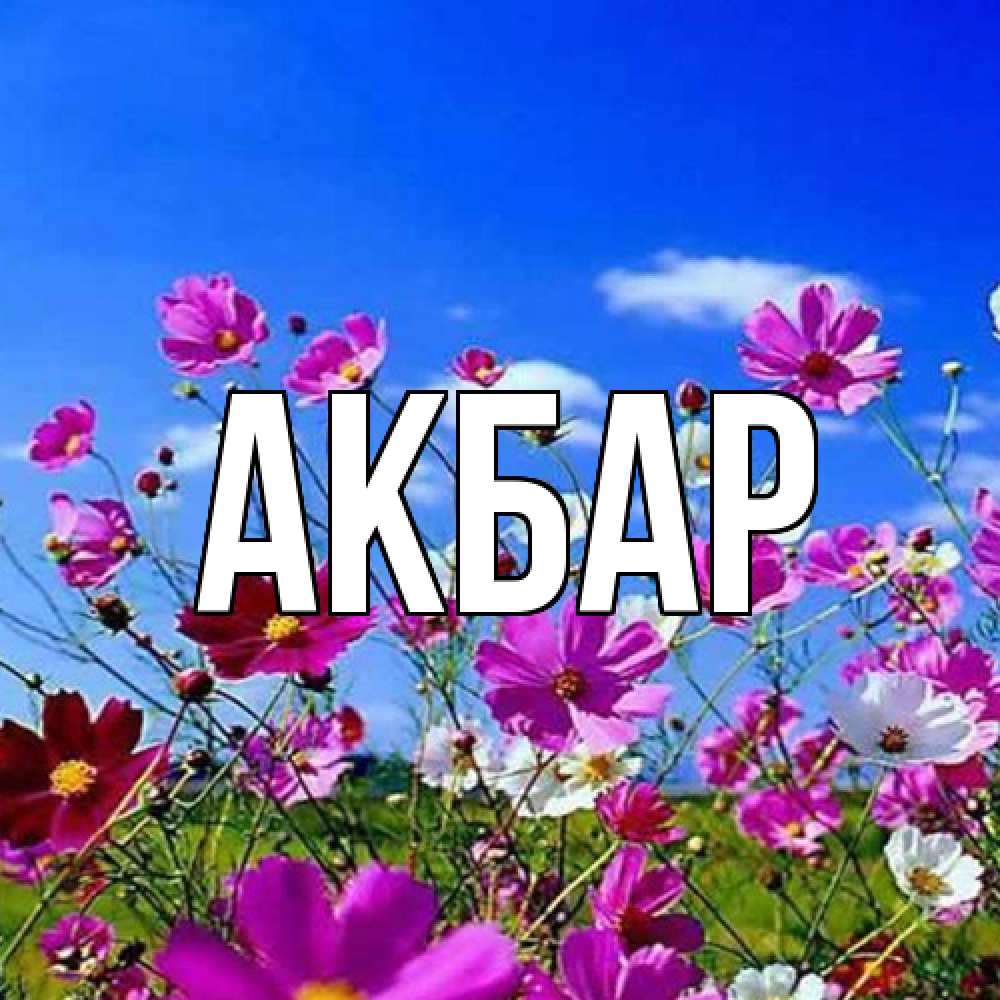Открытка  с именем. Акбар, Главная  