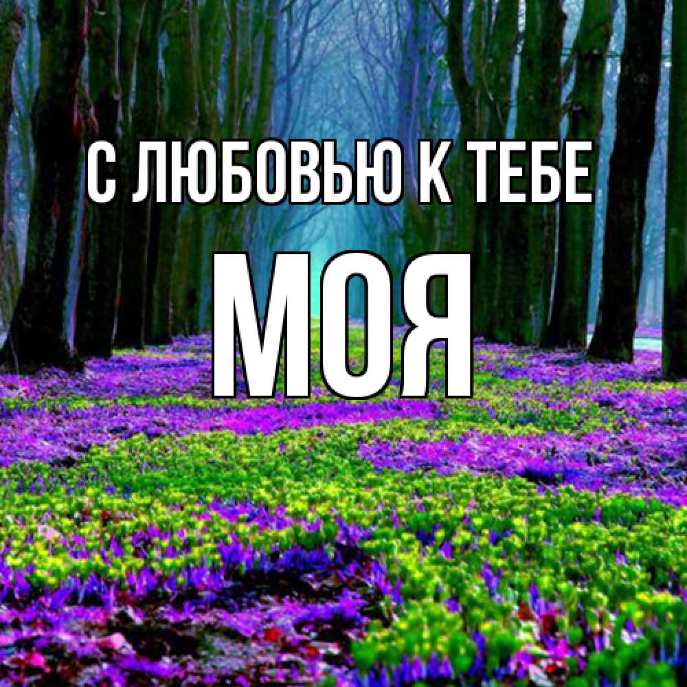 Открытка  с именем. Моя, С любовью к тебе  