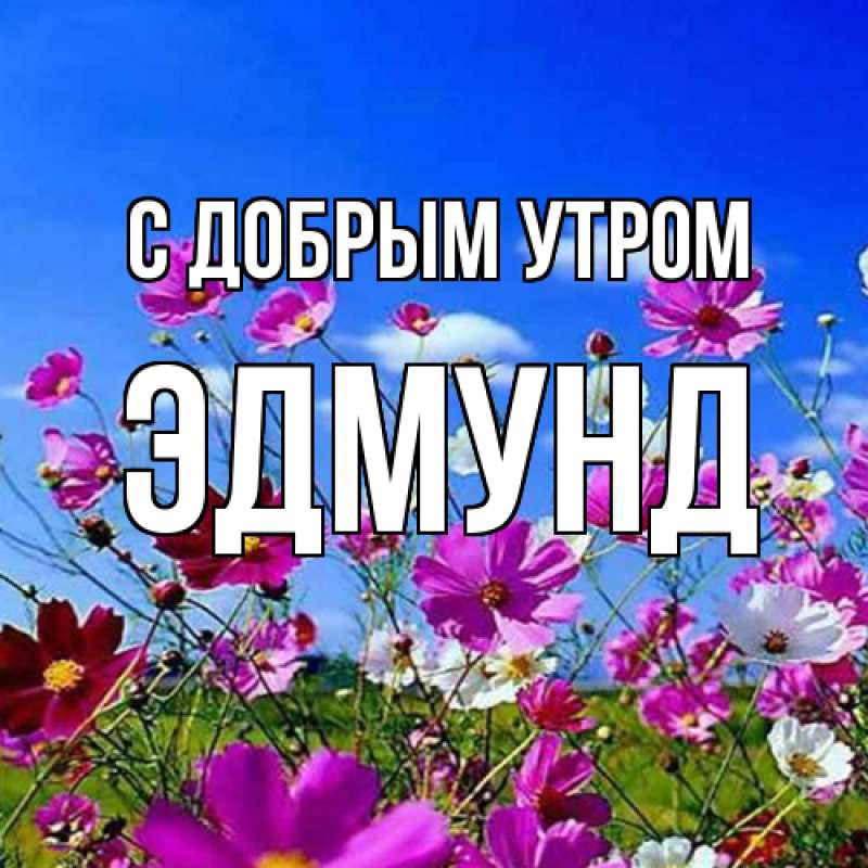 Картинка С добрым утром, Эдмунд