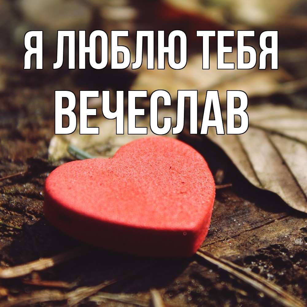Открытка  с именем. Вечеслав, Я люблю тебя  