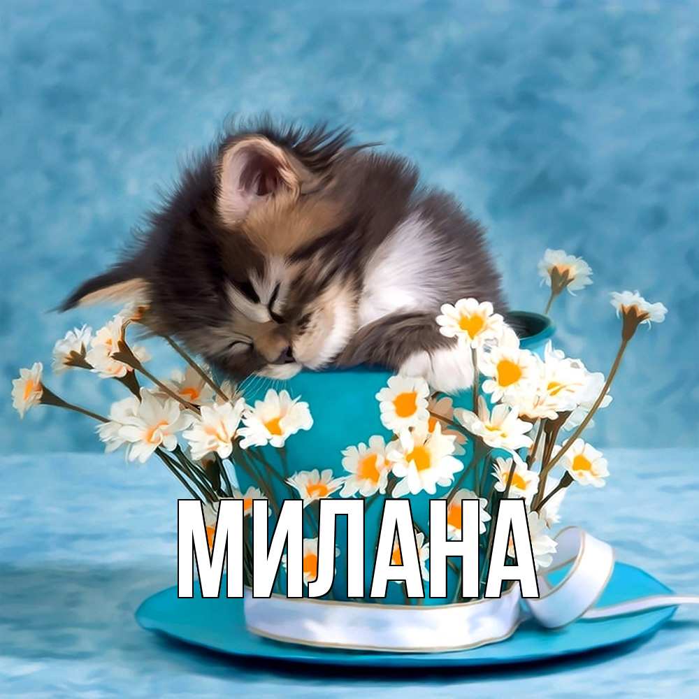 Открытка  с именем. Милана, Главная  
