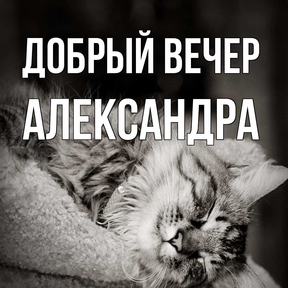 Открытка  с именем. Александра, Добрый вечер  