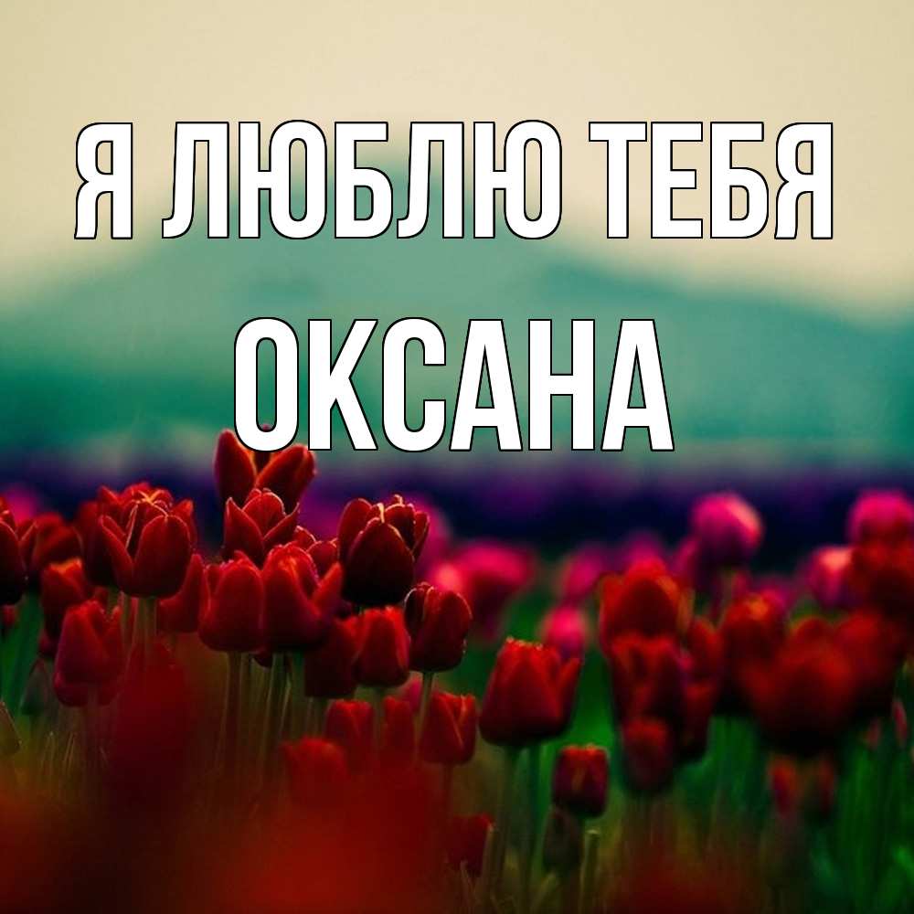 Открытка  с именем. Оксана, Я люблю тебя  