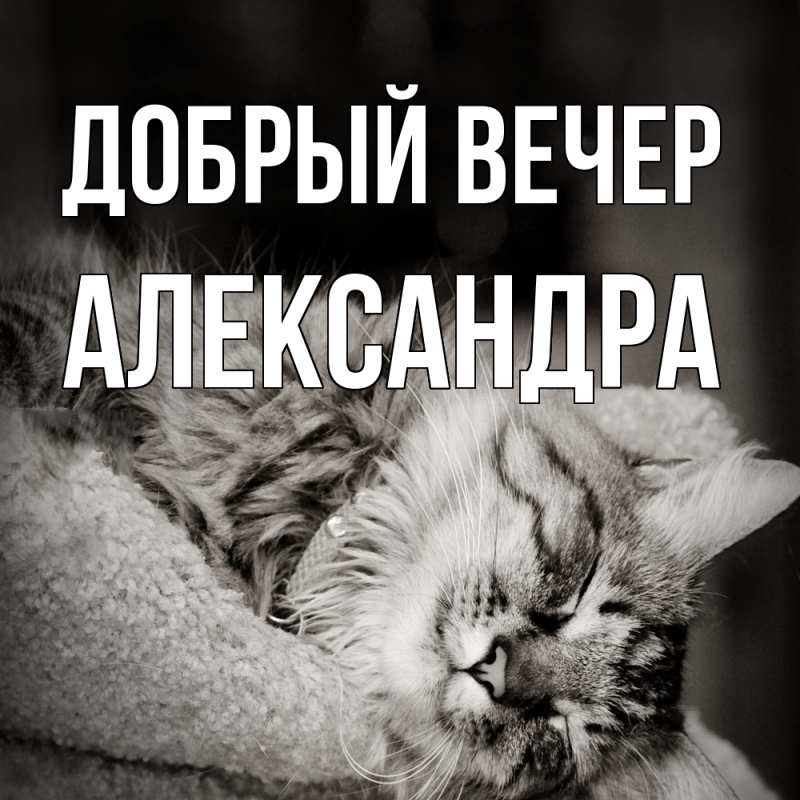 Картинка Добрый вечер, Александра