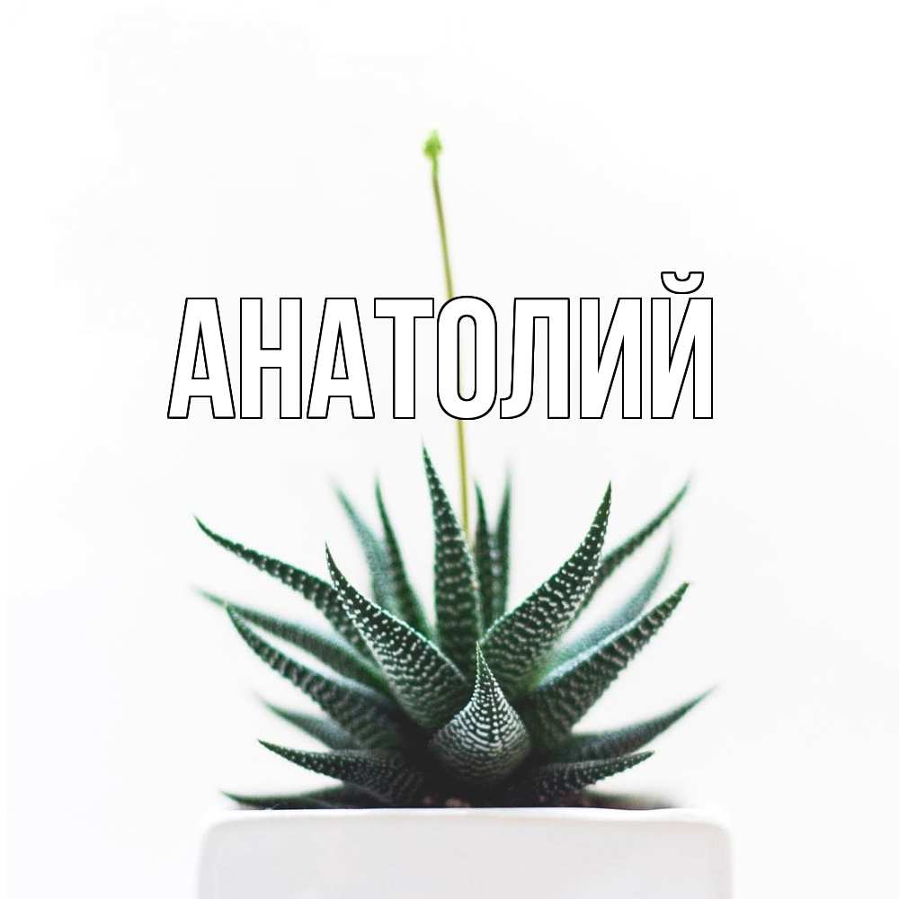 Открытка  с именем. Анатолий, Главная  