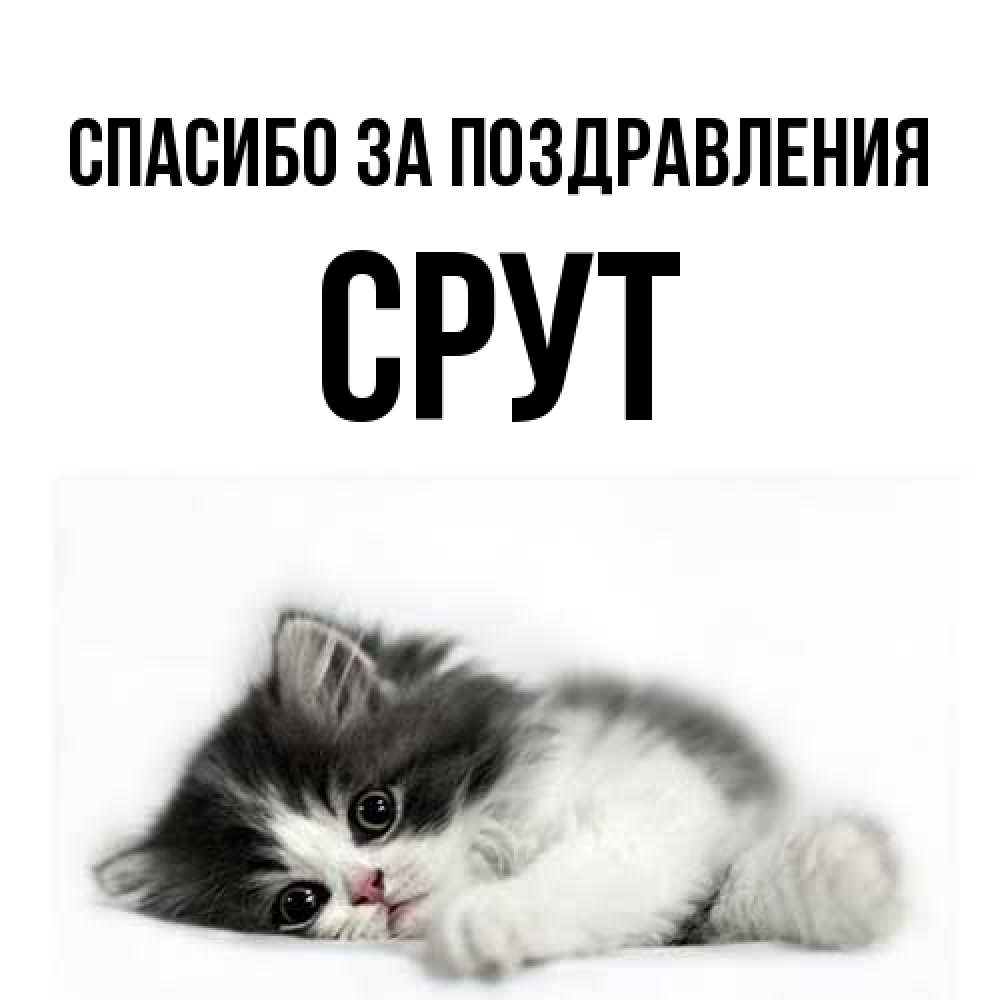 Открытка  с именем. срут, Спасибо за поздравления  