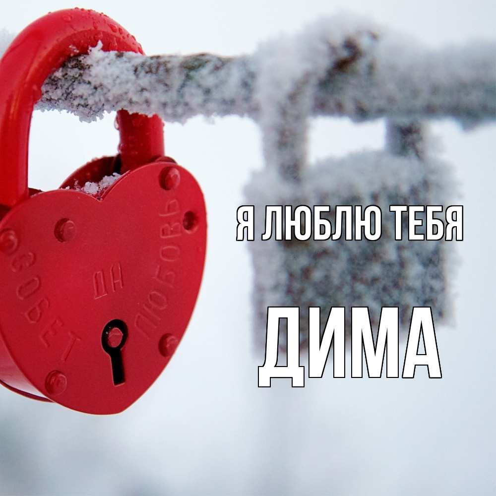 Открытка  с именем. Дима, Я люблю тебя  