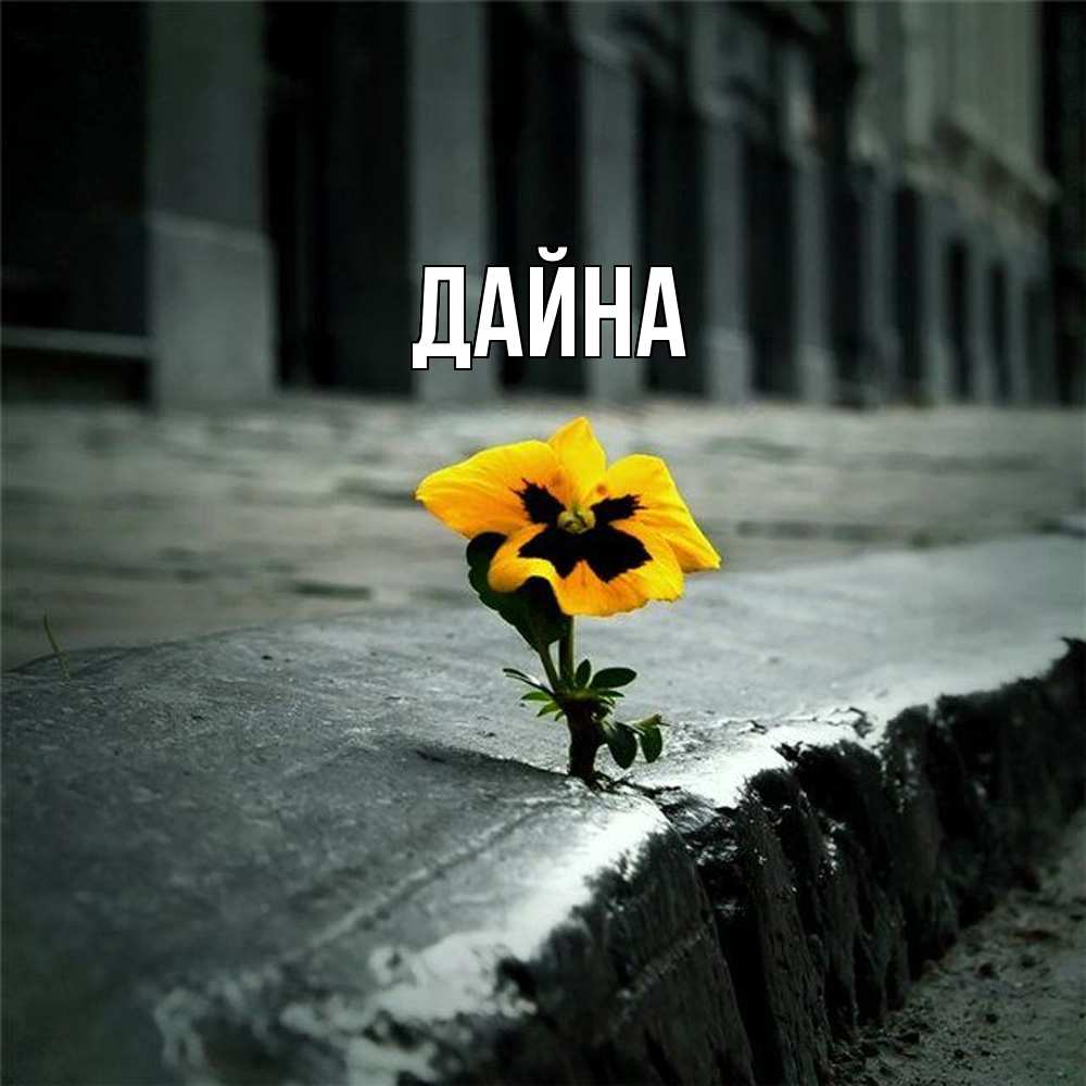 Открытка  с именем. Дайна, Главная  