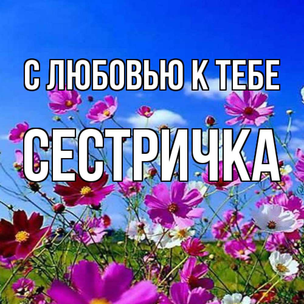 Открытка  с именем. Сестричка, С любовью к тебе  