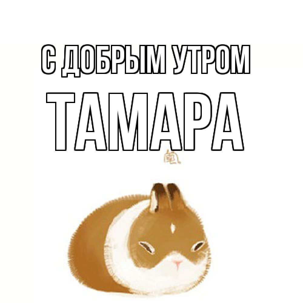 Открытка  с именем. Тамара, С добрым утром  