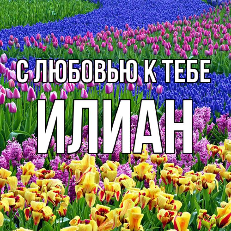 Открытка с именем, Илиан, С любовью к тебе