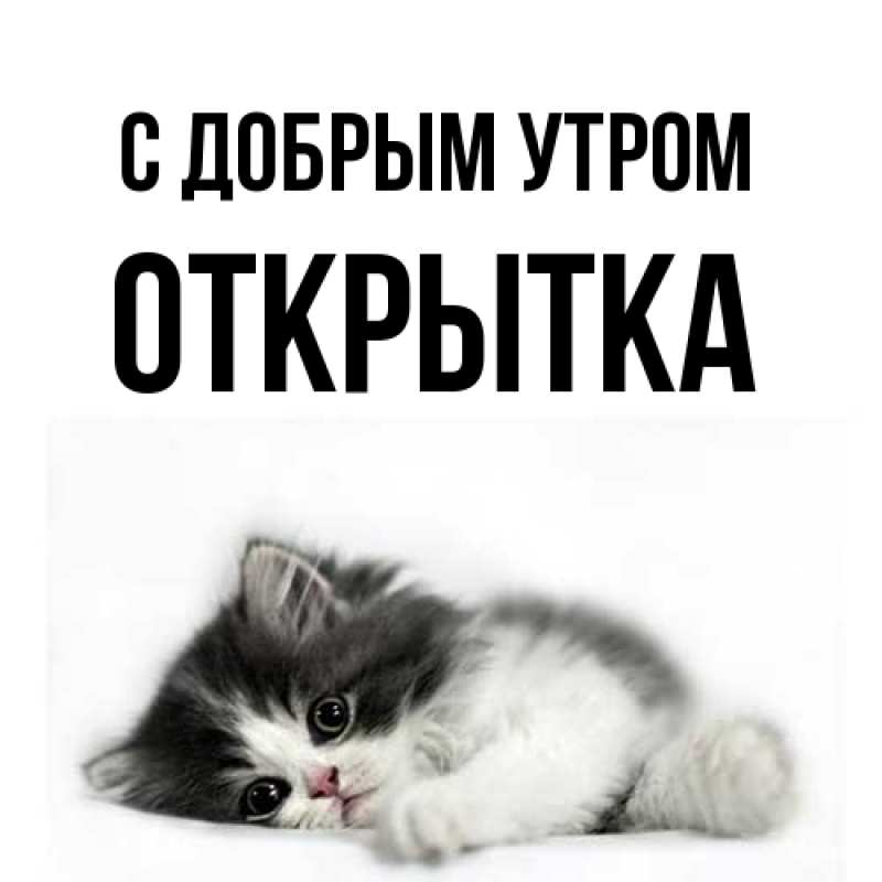 Картинка С добрым утром, открытка