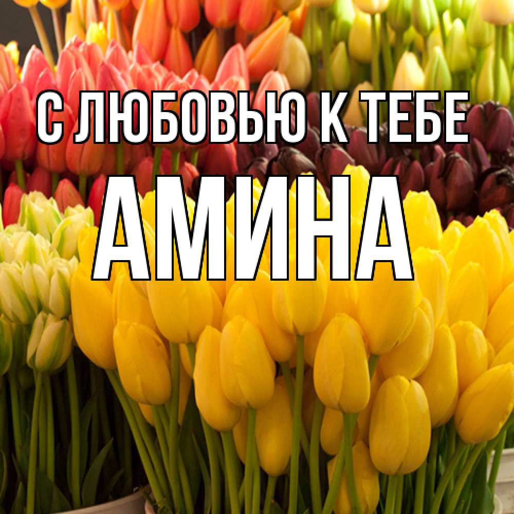 Открытка  с именем. Амина, С любовью к тебе  