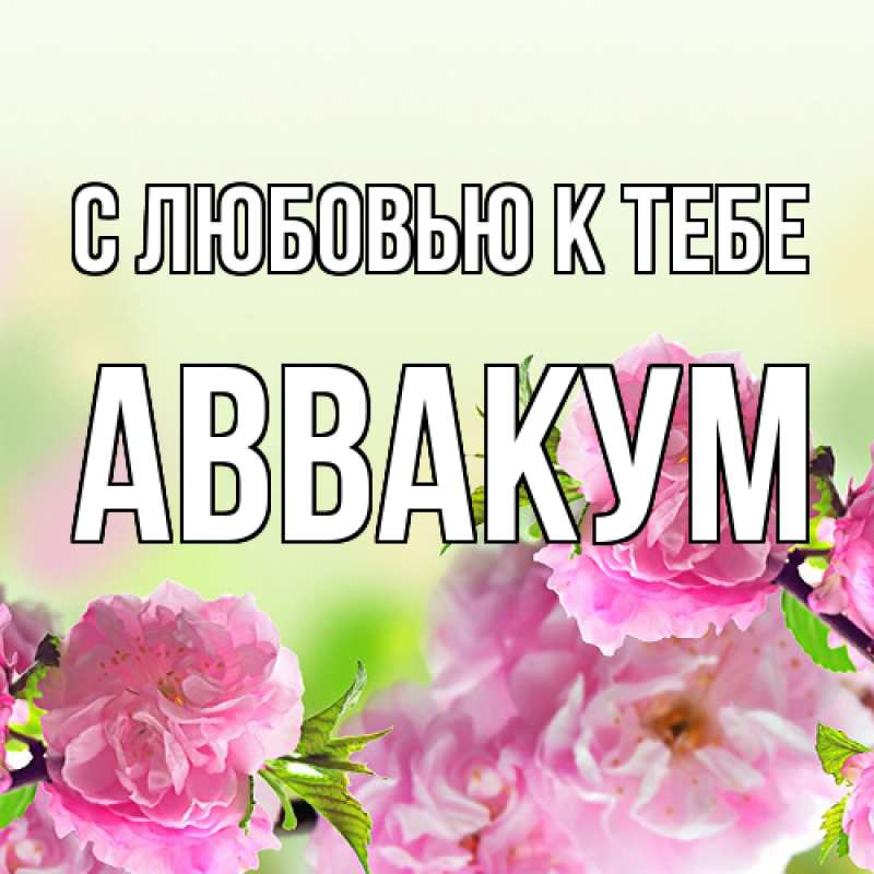 Картинка С любовью к тебе, Аввакум