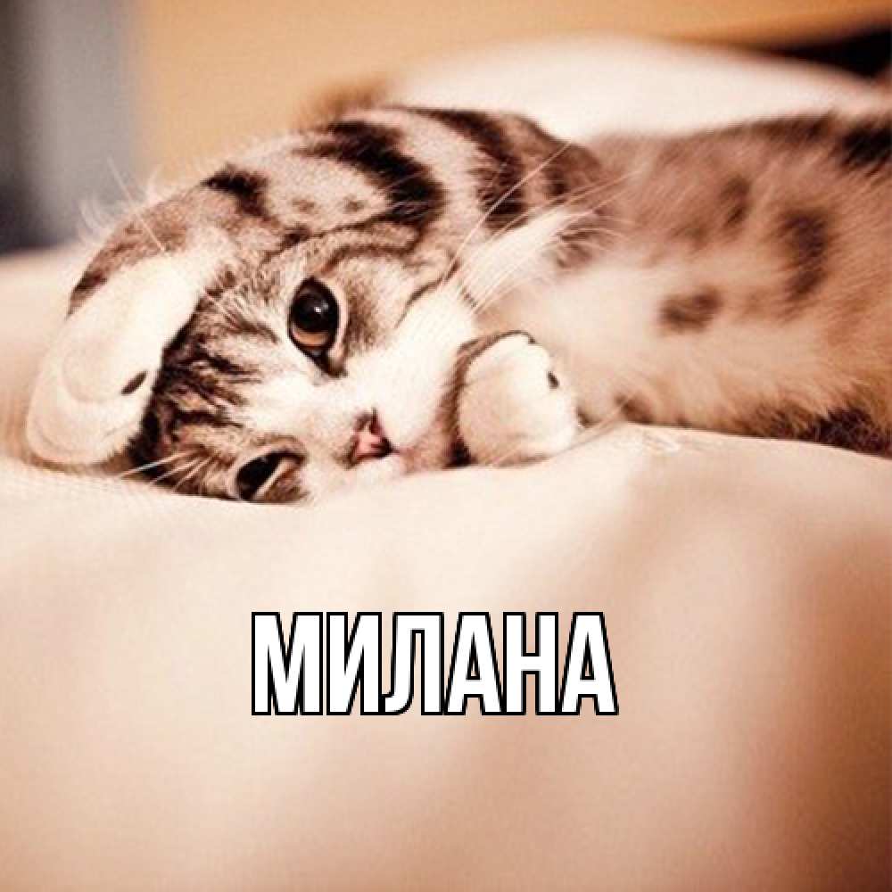 Открытка  с именем. Милана, Главная  
