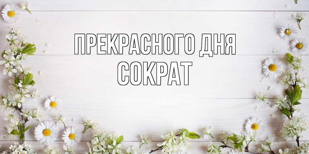 Открытка  с именем. Сократ, Прекрасного дня  