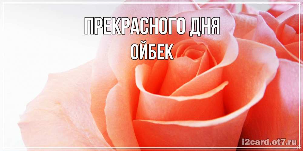 Открытка  с именем. Ойбек, Прекрасного дня  