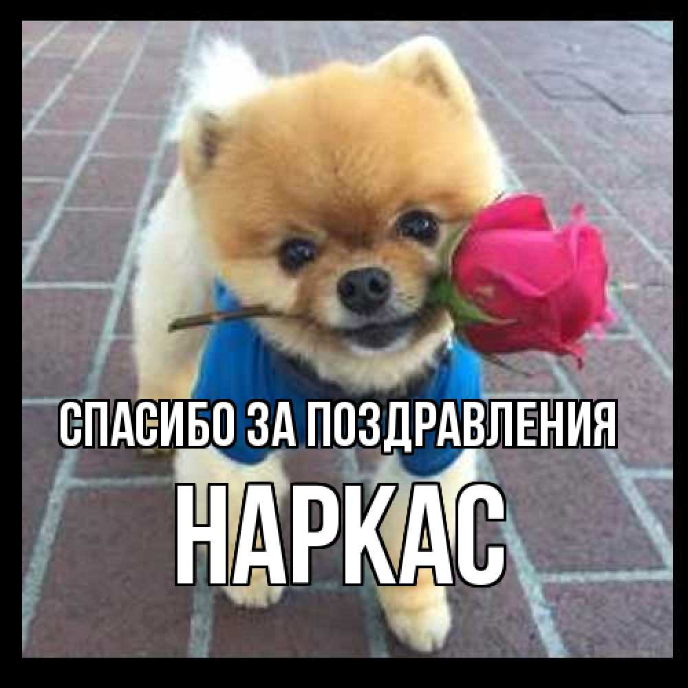 Открытка  с именем. Наркас, Спасибо за поздравления  