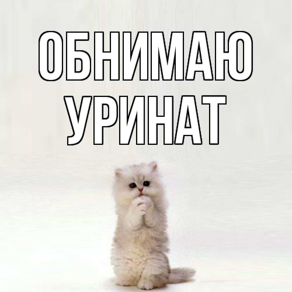 Открытка  с именем. уРинат, Обнимаю  