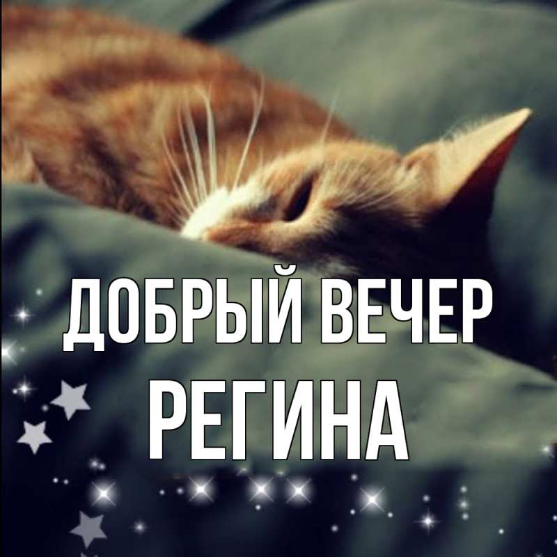 Картинка Добрый вечер, Регина