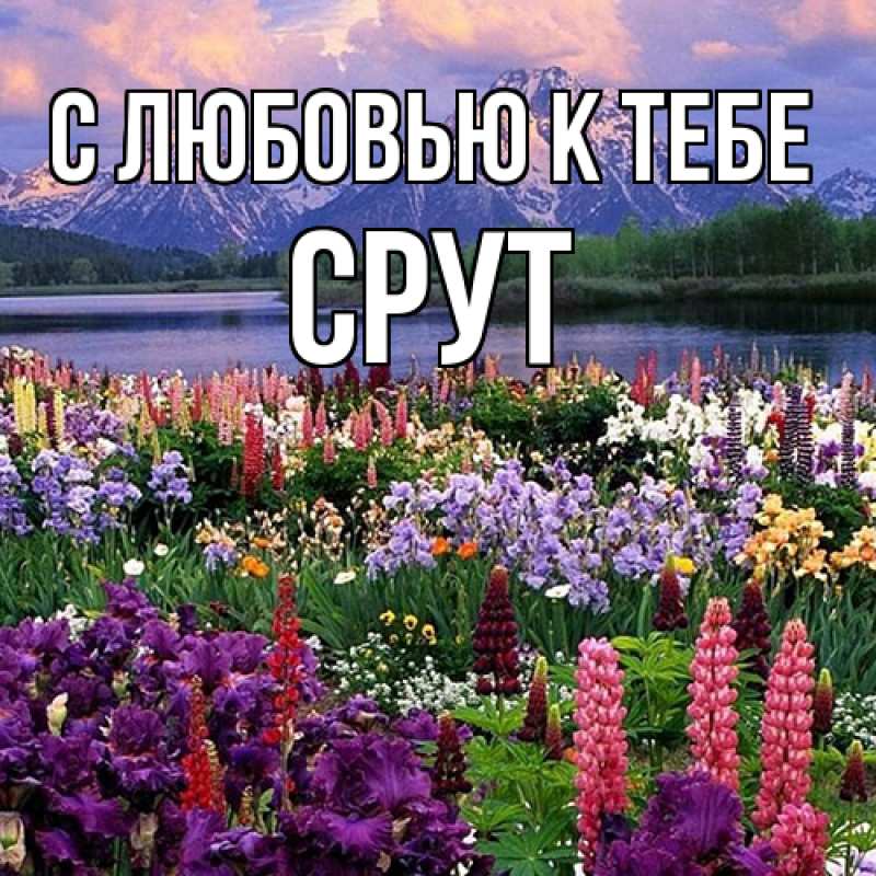 Картинка С любовью к тебе, срут