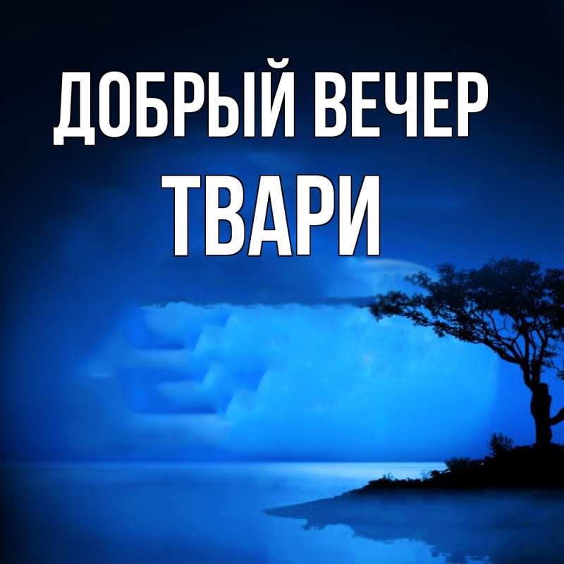 Картинка Добрый вечер, твари