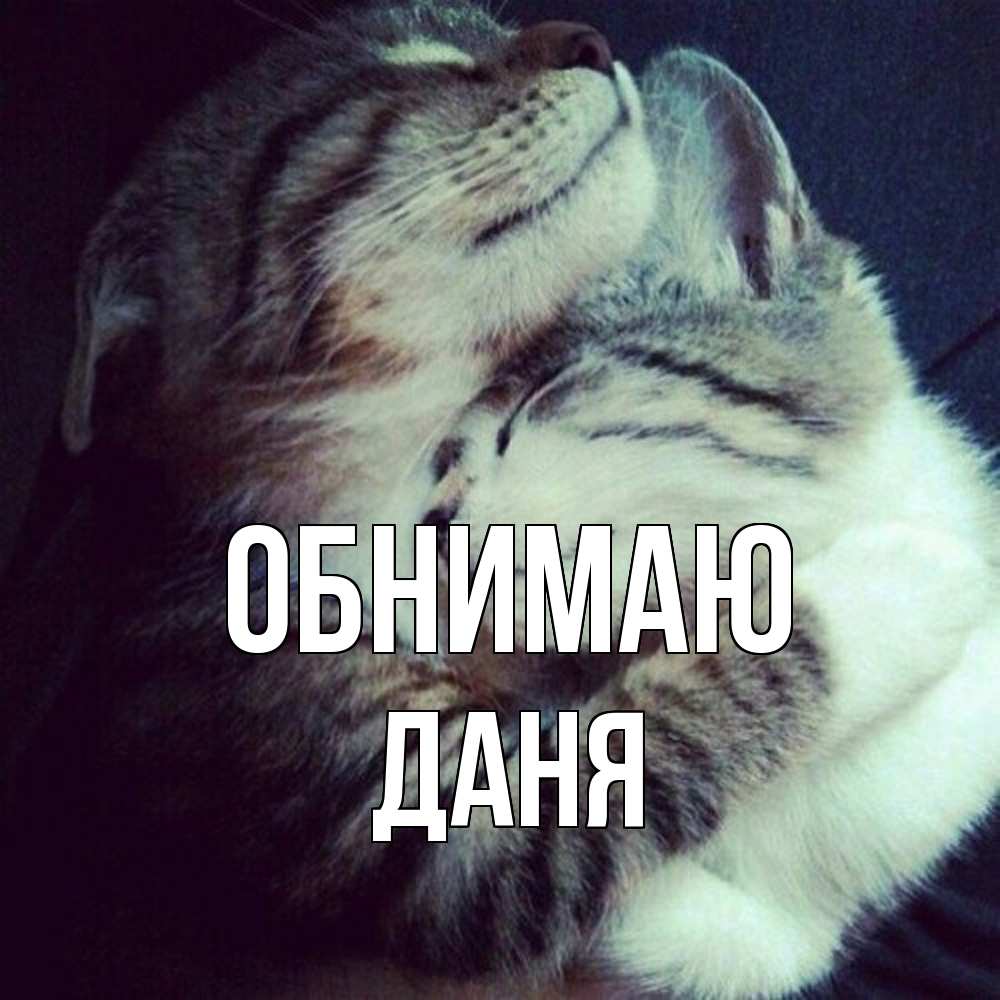 Открытка  с именем. Даня, Обнимаю  