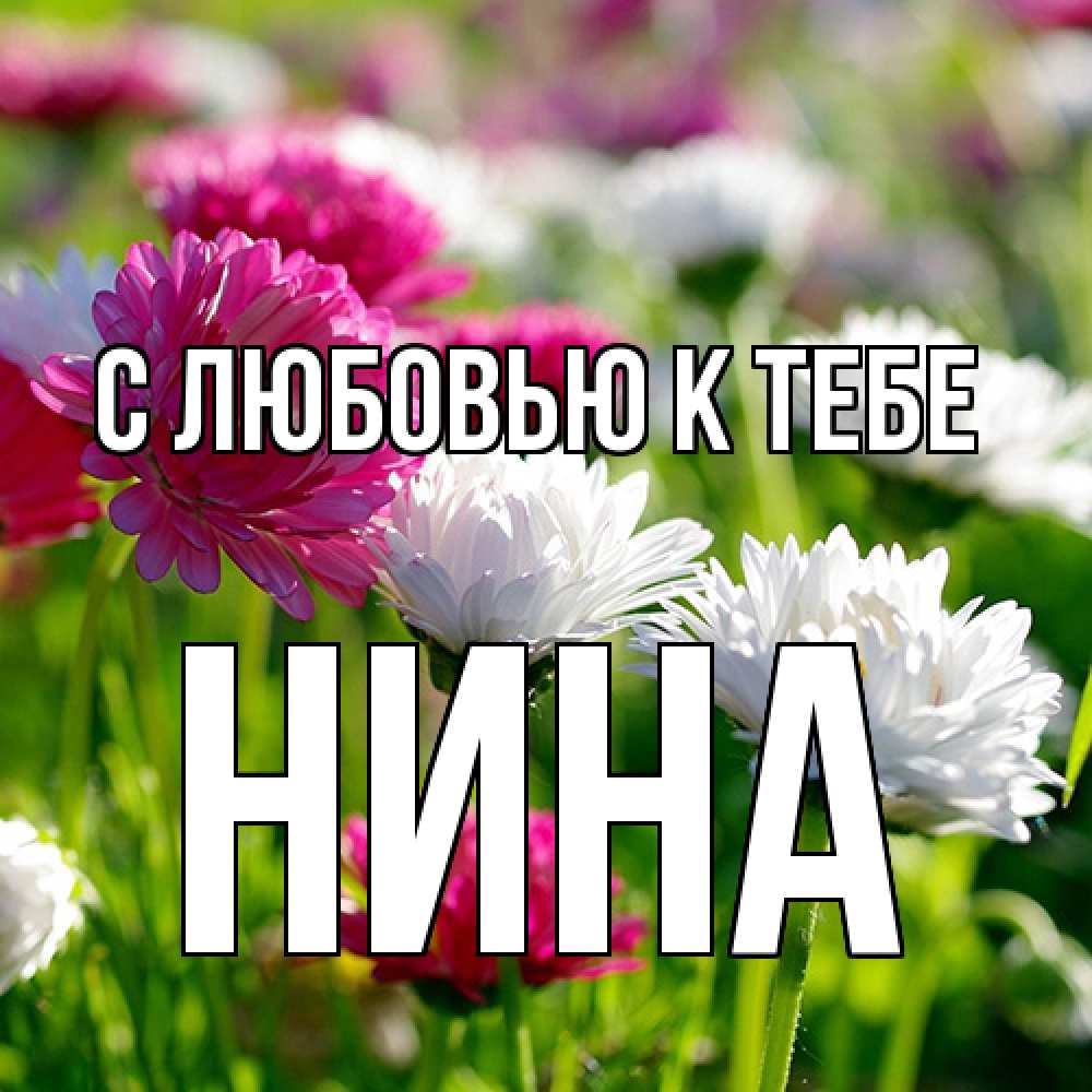 Открытка  с именем. Нина, С любовью к тебе  