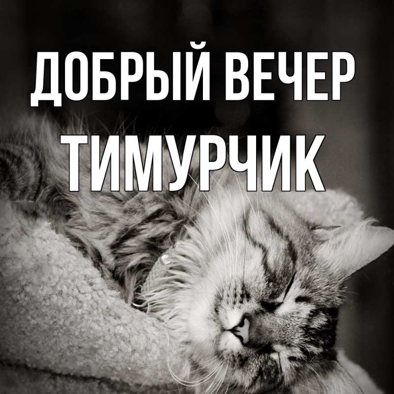 Картинка Добрый вечер, Тимурчик