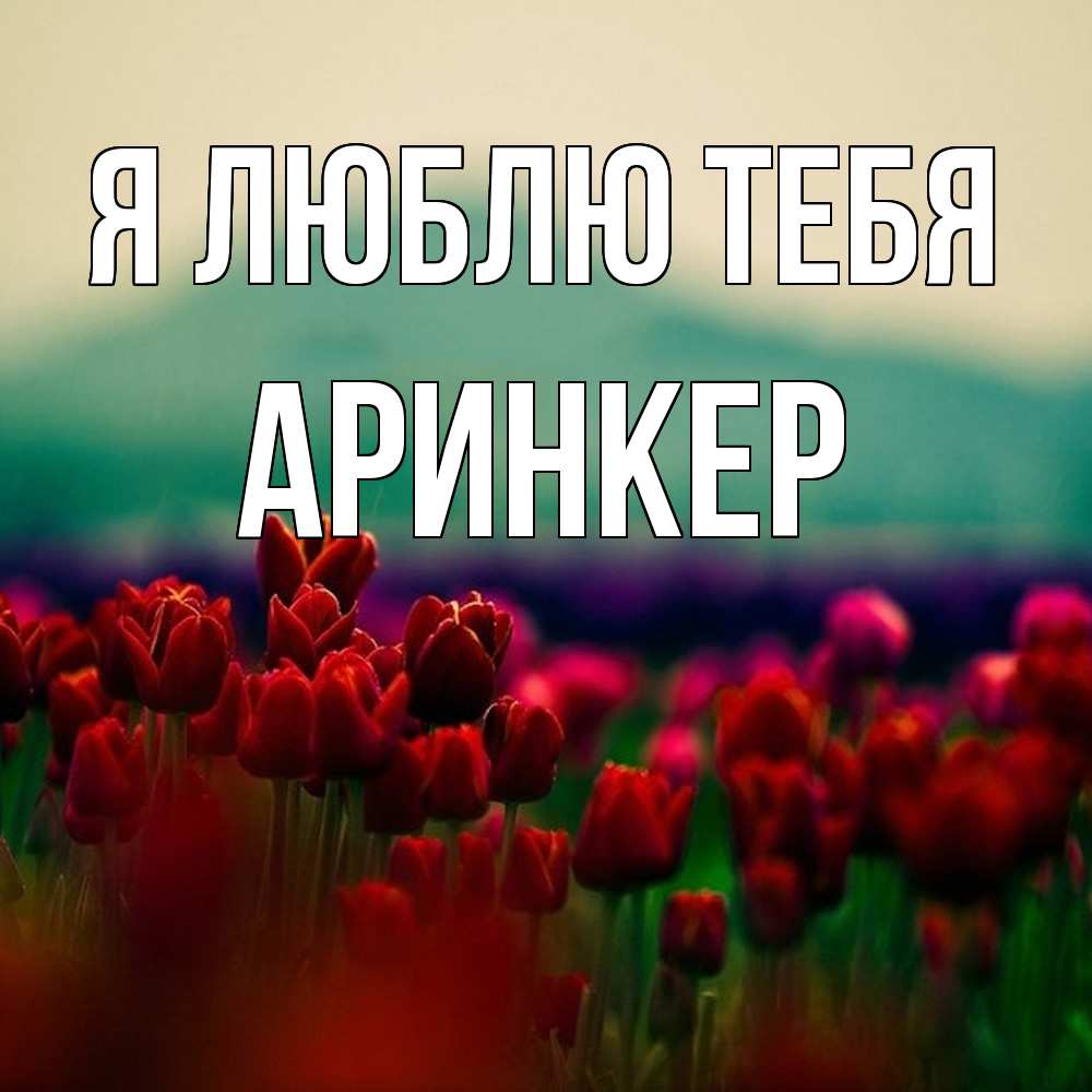 Открытка  с именем. Аринкер, Я люблю тебя  