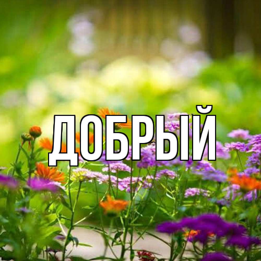 Открытка  с именем. Добрый, Главная  