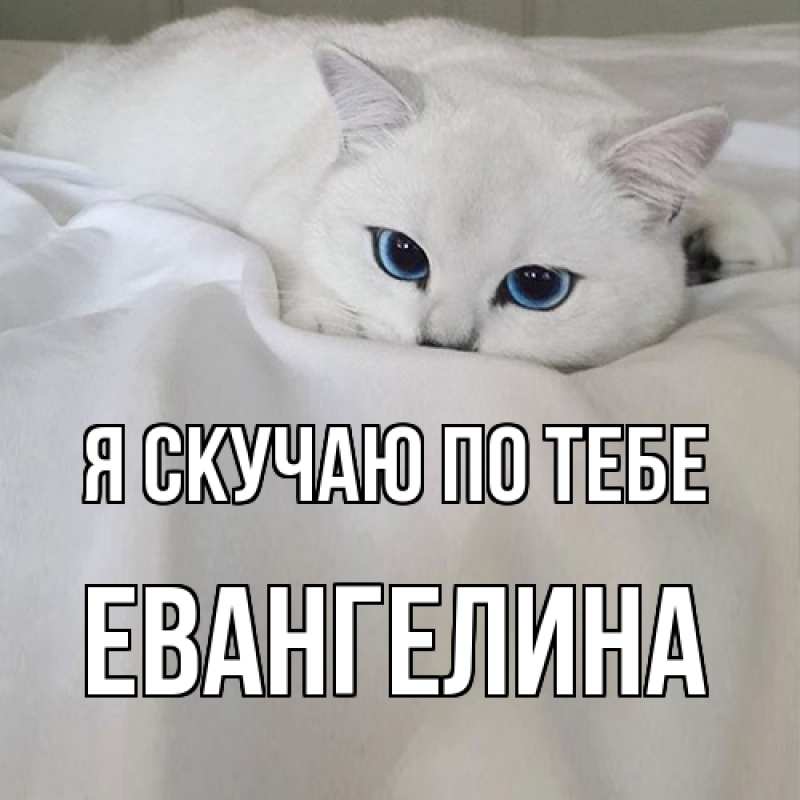 Картинка Я скучаю по тебе, Евангелина