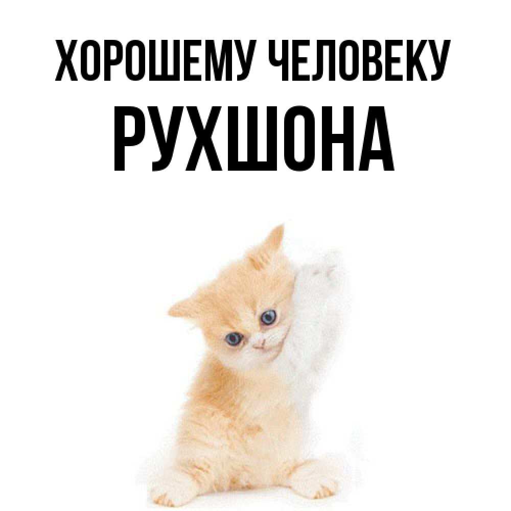 Открытка  с именем. Рухшона, Хорошему человеку  