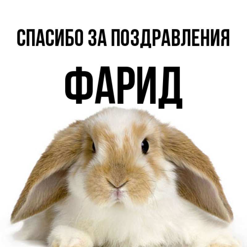 Картинка Спасибо за поздравления, Фарид