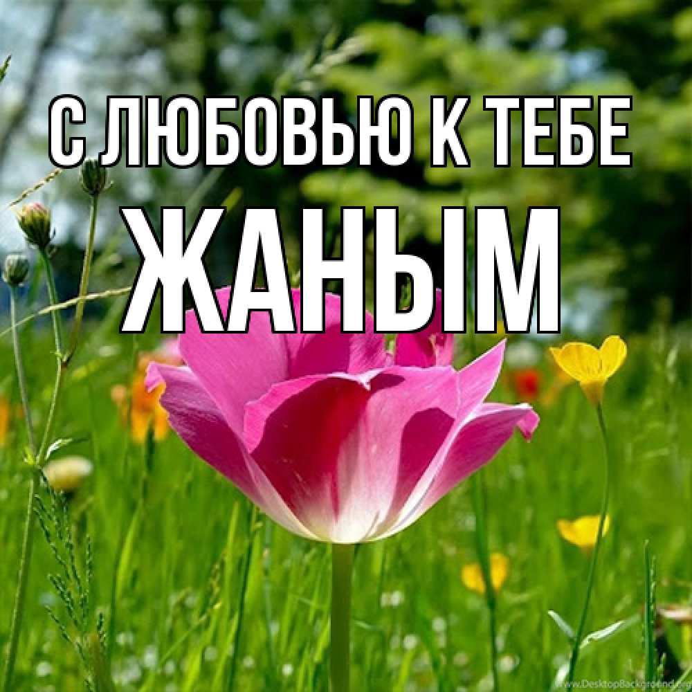 Открытка  с именем. Жаным, С любовью к тебе  