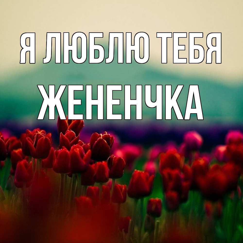 Открытка  с именем. Жененчка, Я люблю тебя  