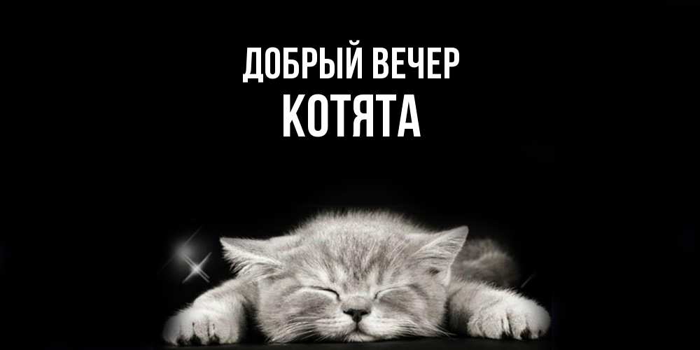 Открытка  с именем. Котята, Добрый вечер  