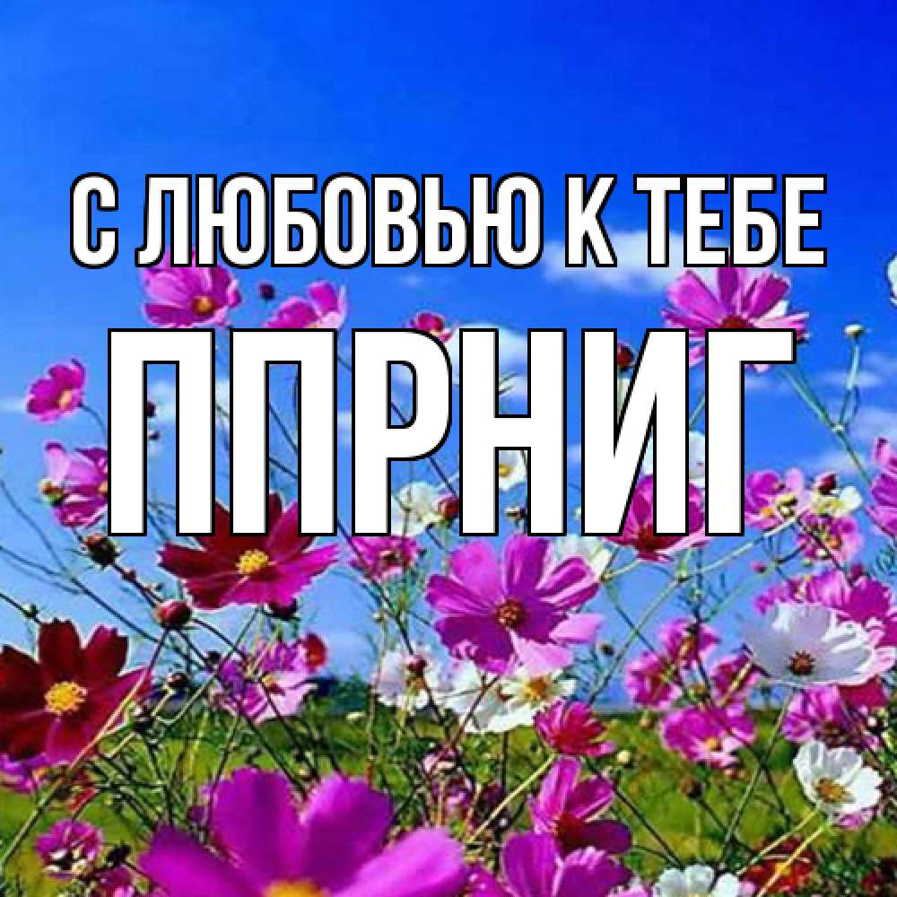 Открытка  с именем. Ппрниг, С любовью к тебе  