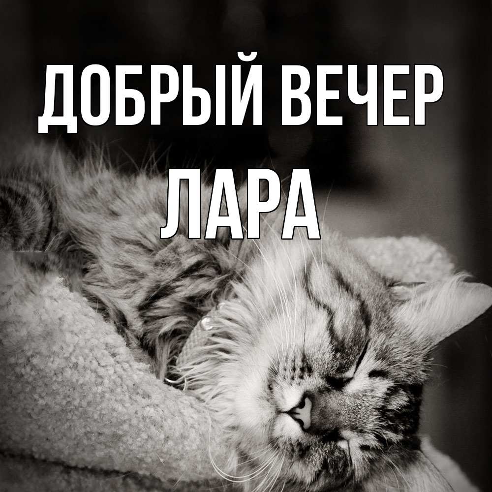 Открытка  с именем. Лара, Добрый вечер  