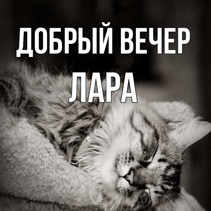 Картинка Добрый вечер, Лара