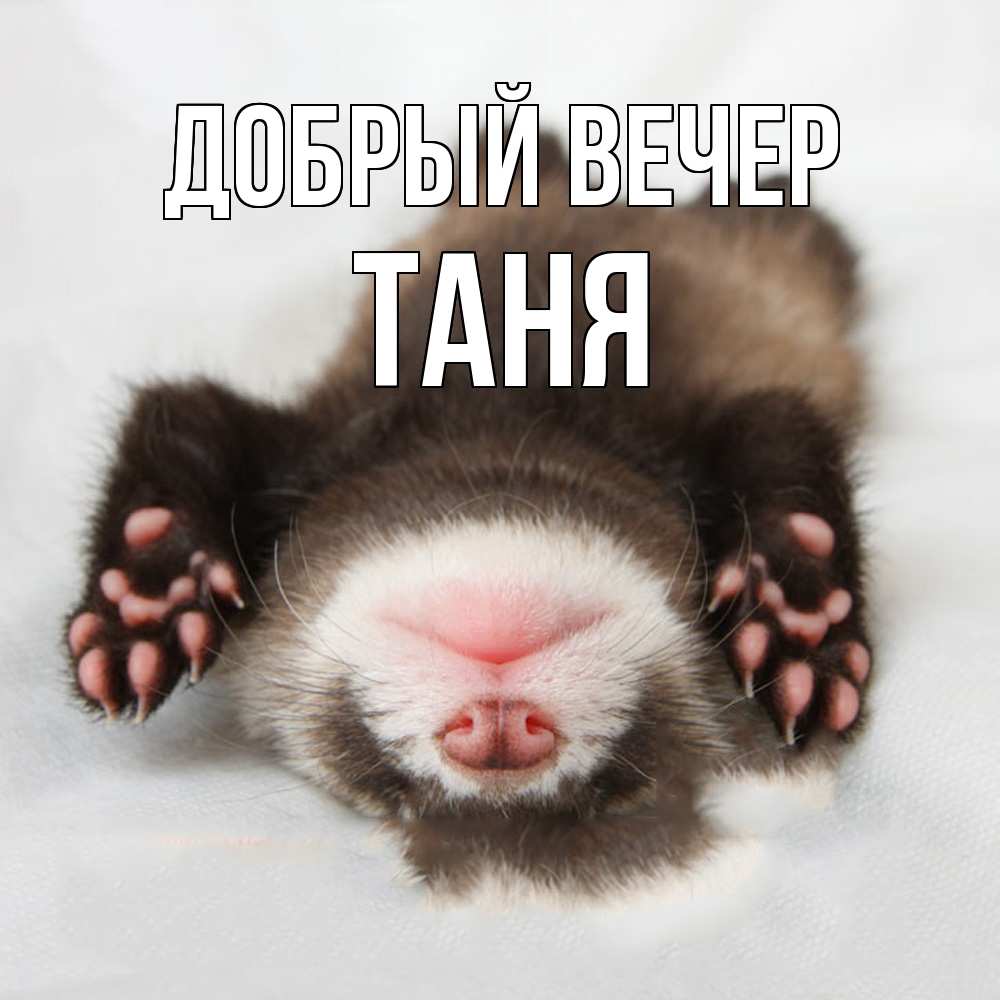 Открытка  с именем. Таня, Добрый вечер  