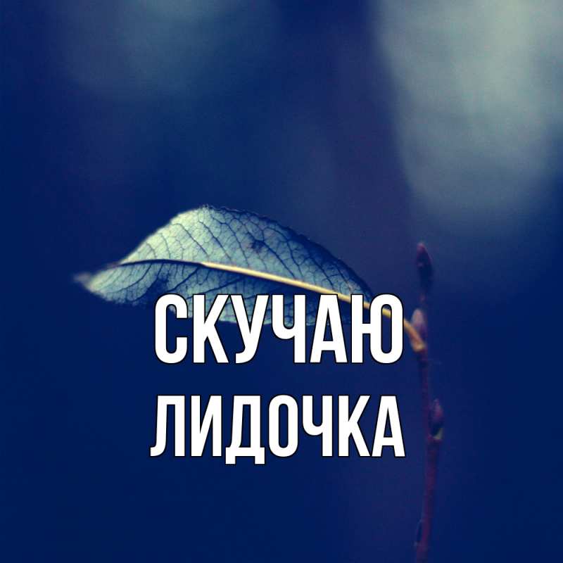 Картинка Скучаю, Лидочка