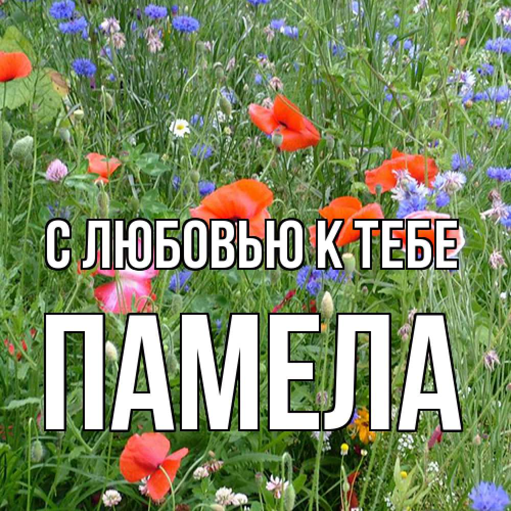 Открытка  с именем. Памела, С любовью к тебе  