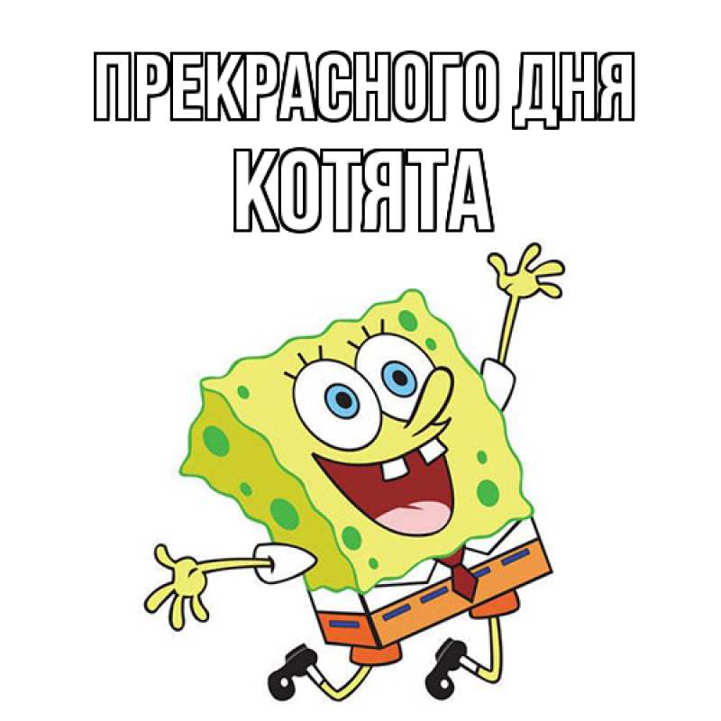 Картинка Прекрасного дня, Котята