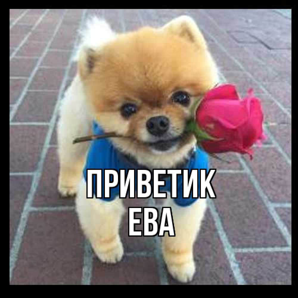 Открытка  с именем. Ева, приветик  
