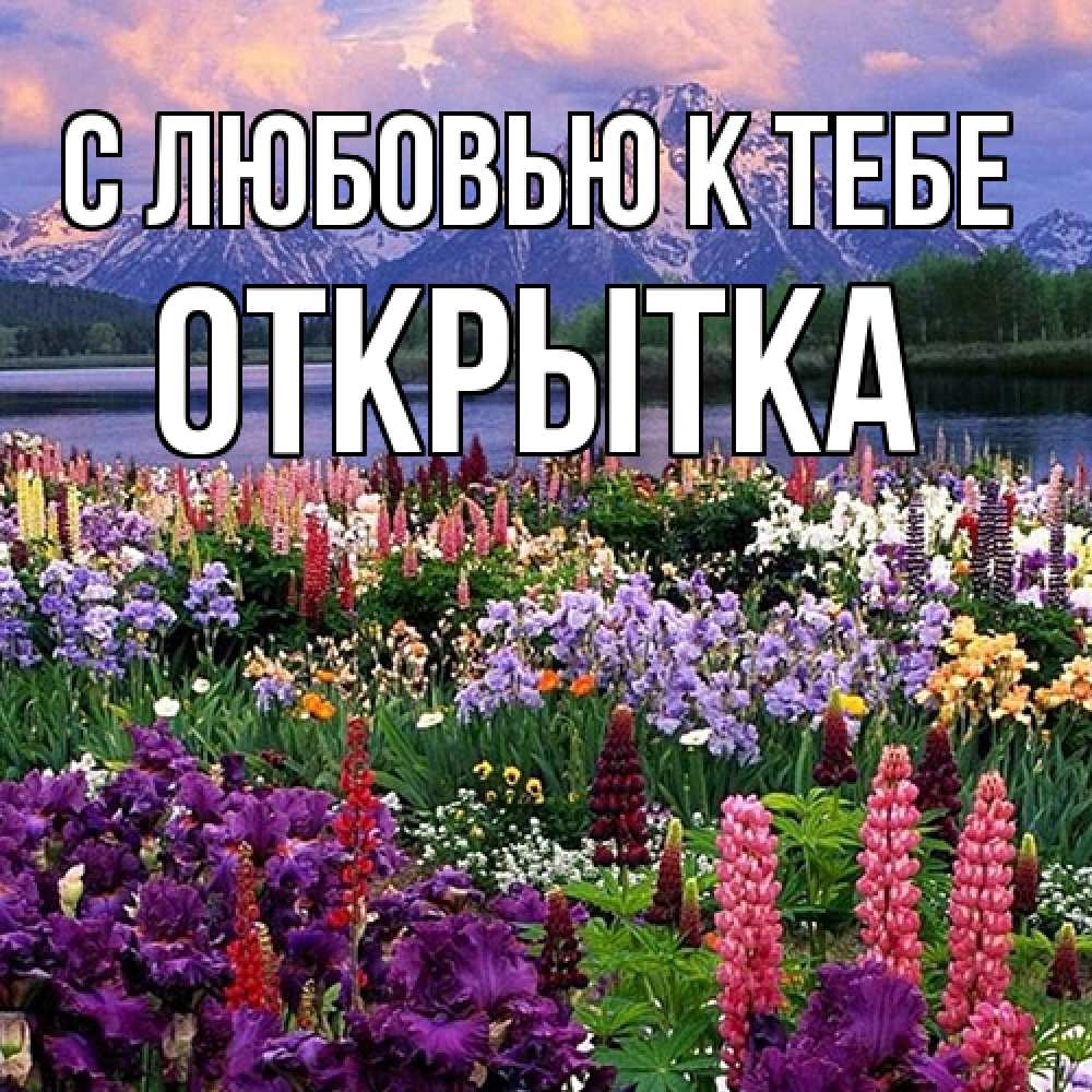 Открытка  с именем. открытка, С любовью к тебе  