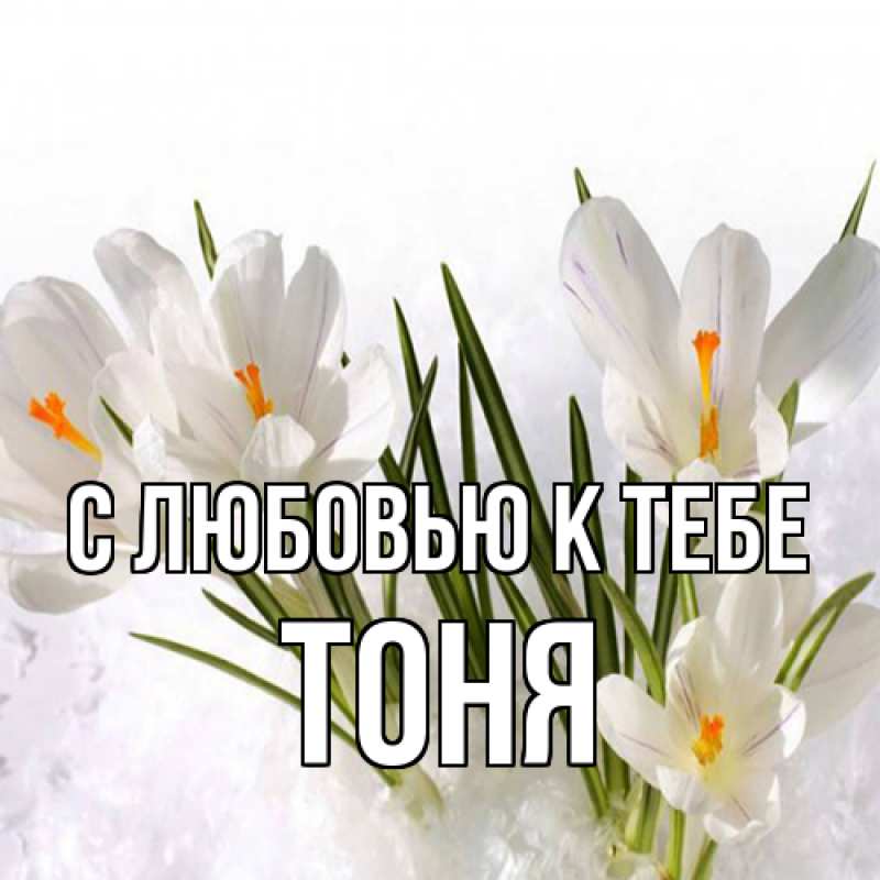 Картинка С любовью к тебе, Тоня