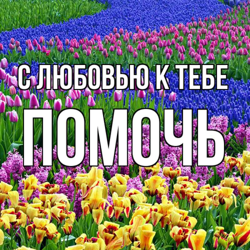 Картинка С любовью к тебе, Помочь