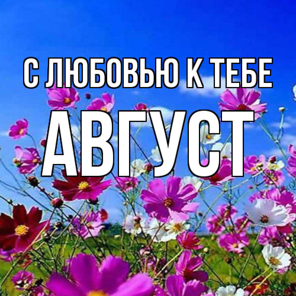 Открытка  с именем. Август, С любовью к тебе  